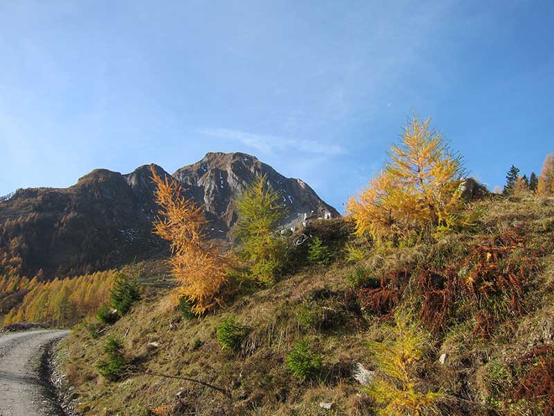 Bernkogel